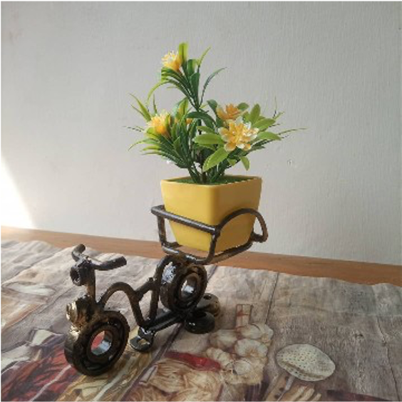 Bicycle Collectibles